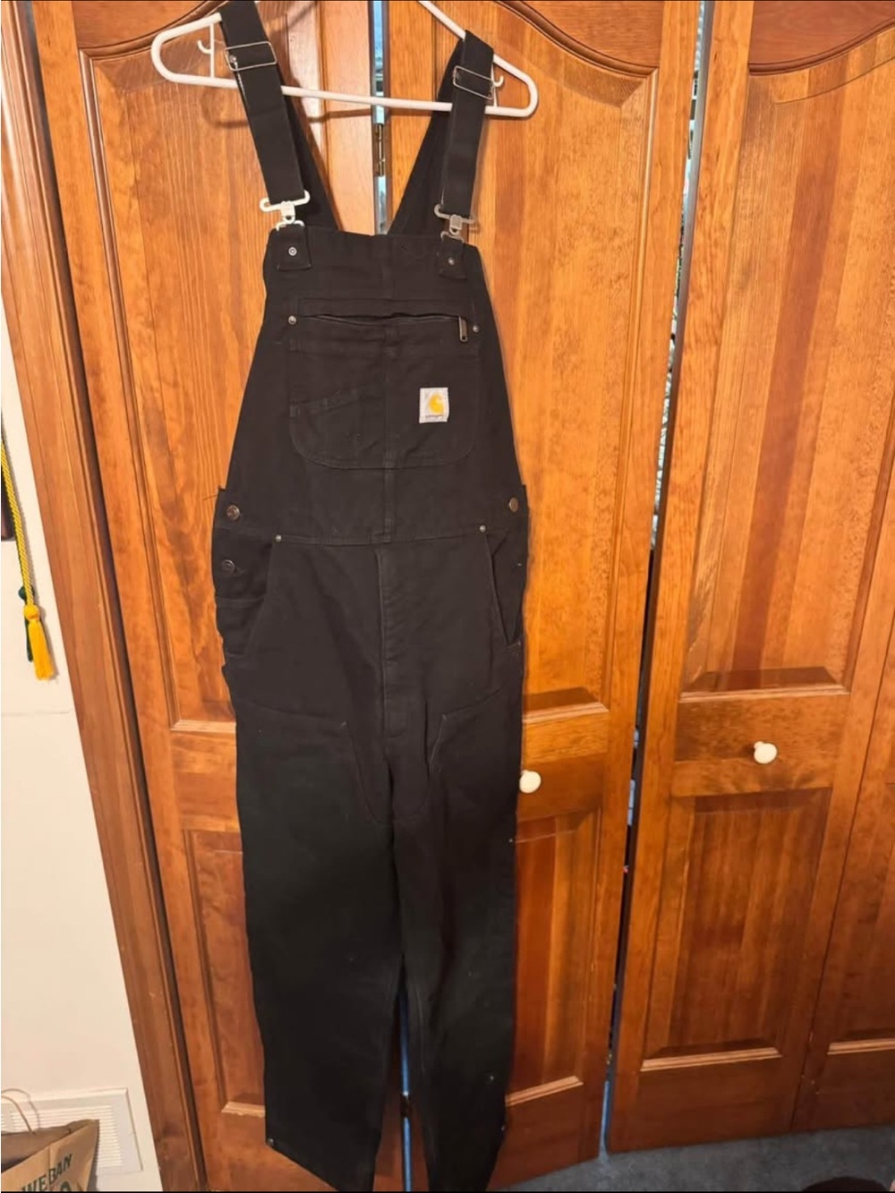Carhartt Insulated Overalls